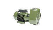 Electropompes Domestiques Monobloc